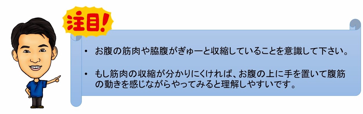 注目！　お腹の腹筋やわき腹がぎゅーと収縮していることを意識して下さい。もし筋肉の収縮が分かりにくければ、お腹の上に手を置いて腹筋の動きを感じながらやってみると理解しやすいです。