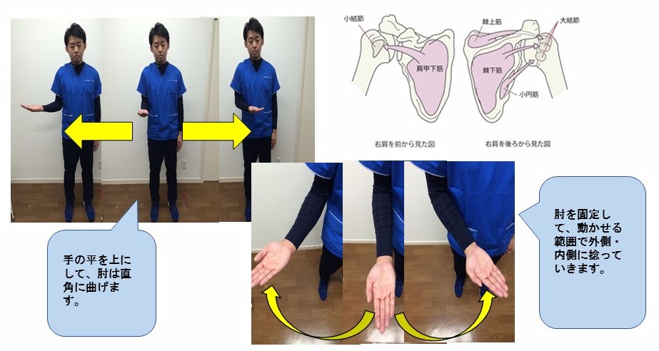 自宅でできる運動⑭　肩関節運動(インナーマッスル)