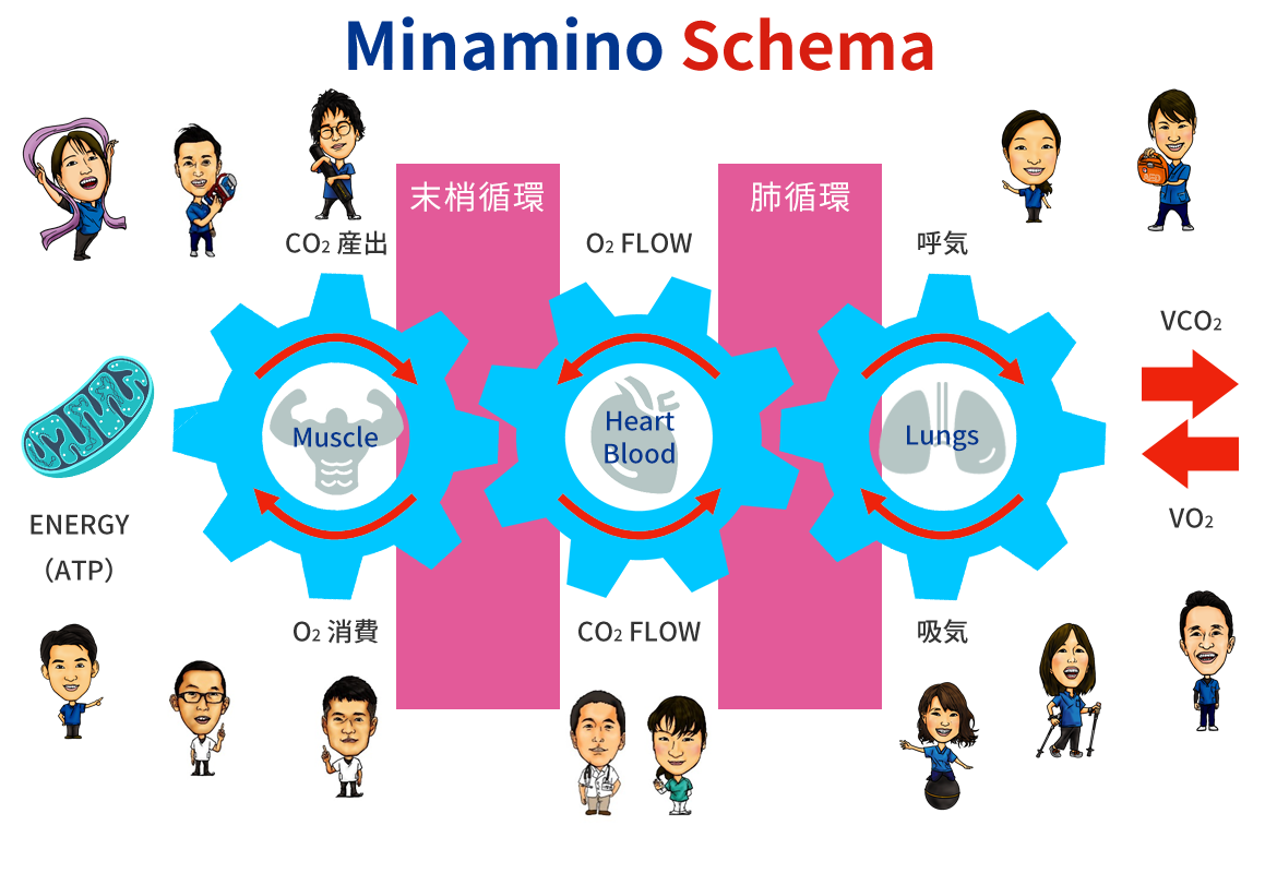 Minamino Schema